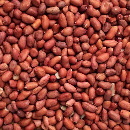 Groundnut (Peanut)