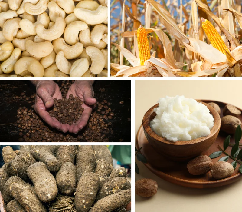 Bharti Global Export